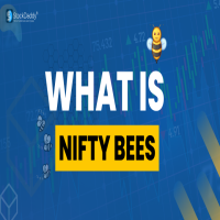 What Is Nifty Bees A Simple Guide