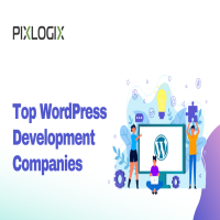 Top Wordpress Development Companies